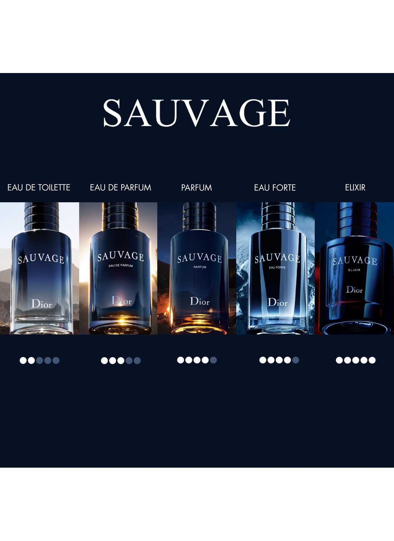 Christian Dior Sauvage Elixir For Men